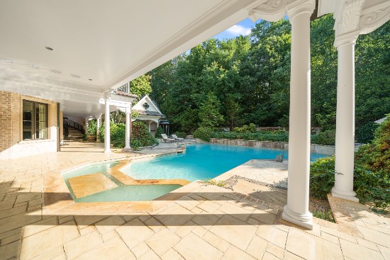 patio and pool at 12324 birchfalls drive