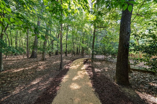 walking path at 12324 birchfalls drive
