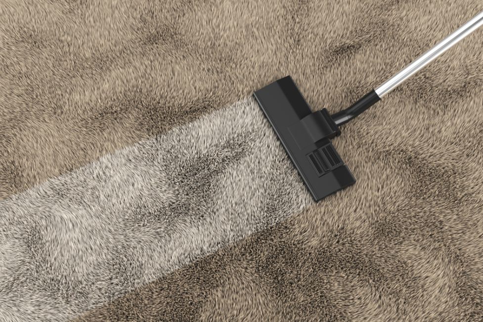 carpet cleaning