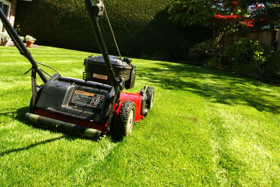 lawn mower cutting grass